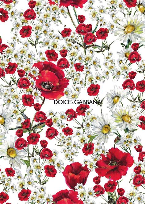 dolce and gabbana background